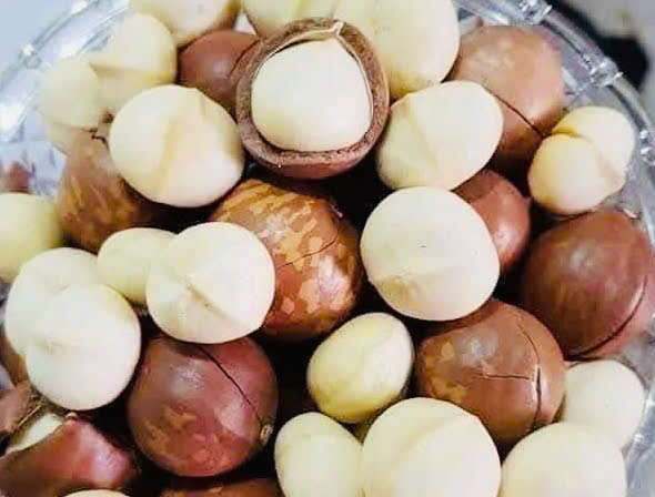 Giá trị dinh dưỡng của 10 loại hạt 'góp vui' ngày tết- Ảnh 3. Giá trị dinh dưỡng của 10 loại hạt 'góp vui' ngày tết- Ảnh 3.