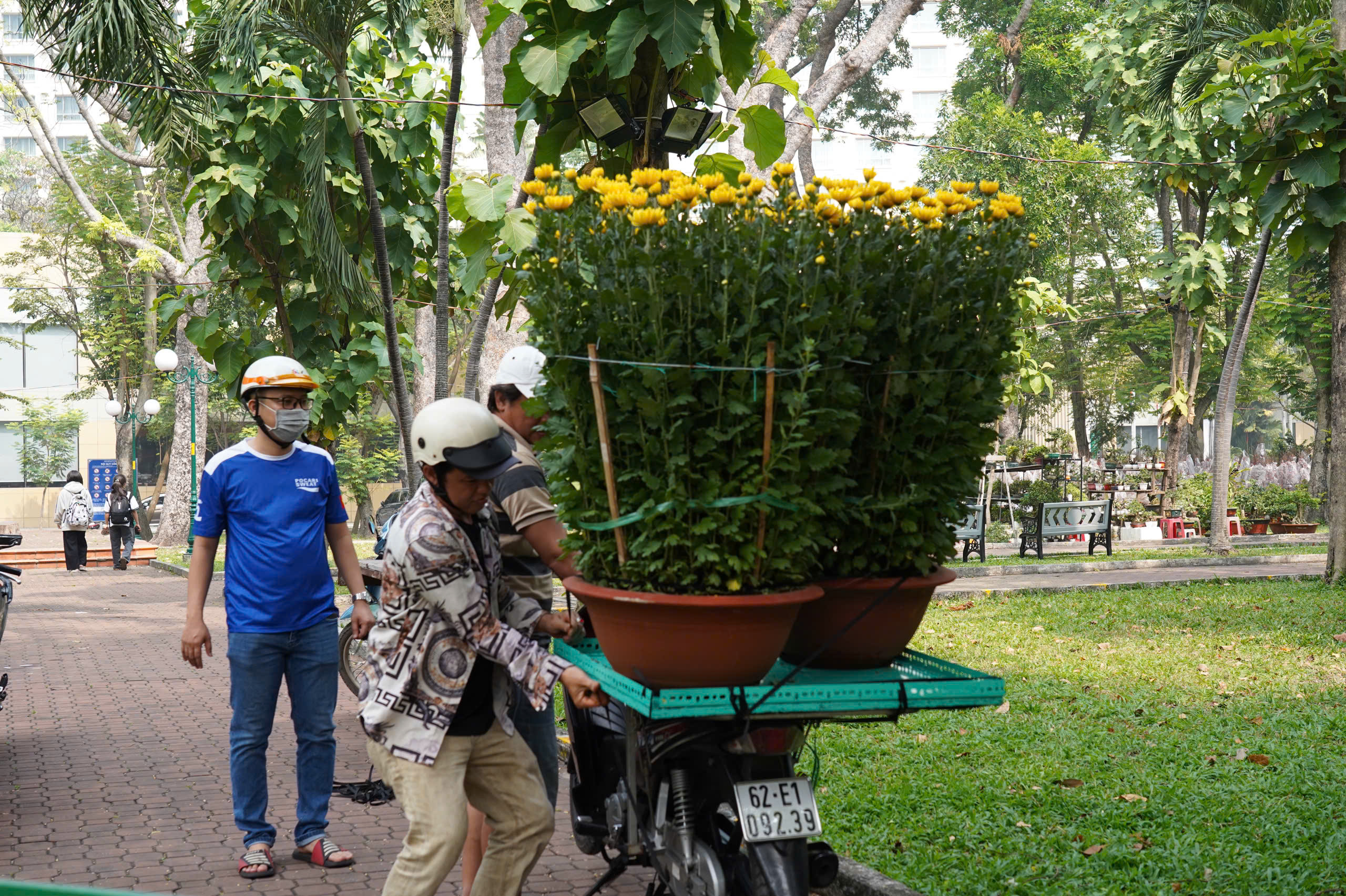 TP.HCM: Mai, đào, cúc xếp hàng chờ chủ nhân đón về chơi Tết- Ảnh 13.
