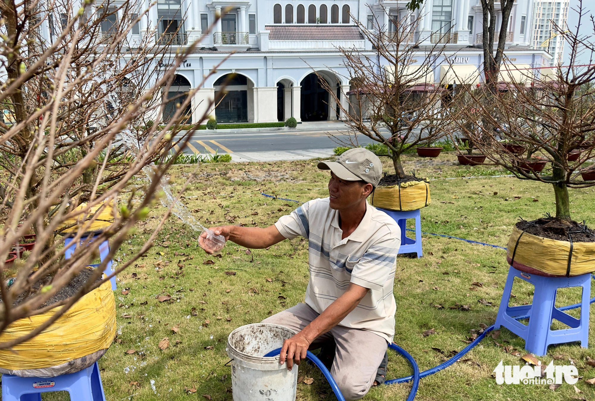 Tiểu thương chợ hoa xuân lo lắng vì hoa giảm giá nhưng bán chậm? - Ảnh 4.