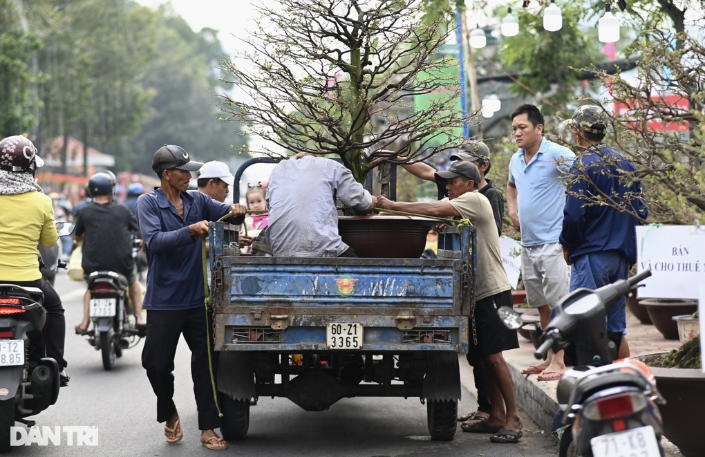 Chở Tết kiếm tiền triệu mỗi ngày ở TPHCM - 2