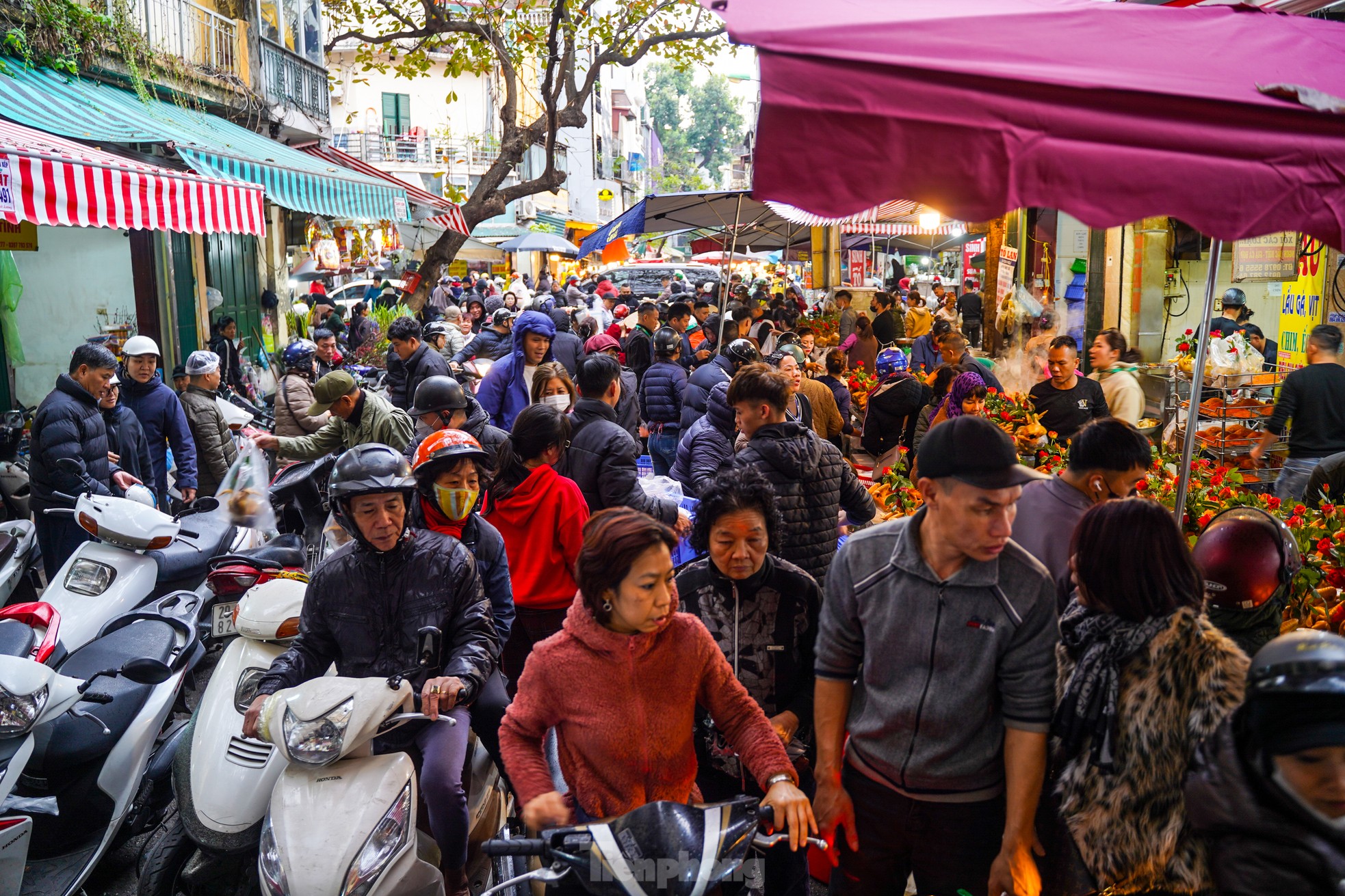 Người Hà Nội chi nửa triệu đồng mua gà ngậm hoa hồng sáng 29 Tết tại chợ 'nhà giàu' ảnh 1