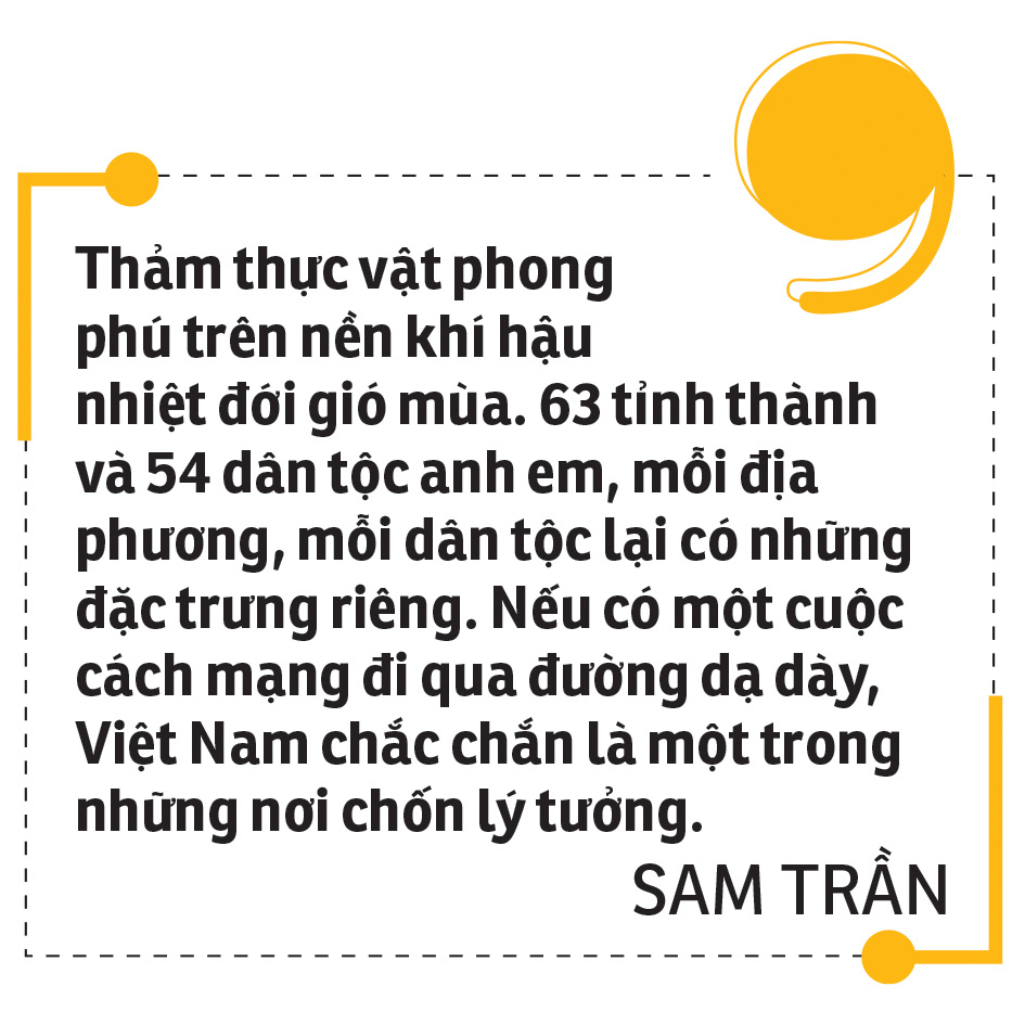 Sam Trần đi trong rừng vàng biển bạc - Ảnh 2.