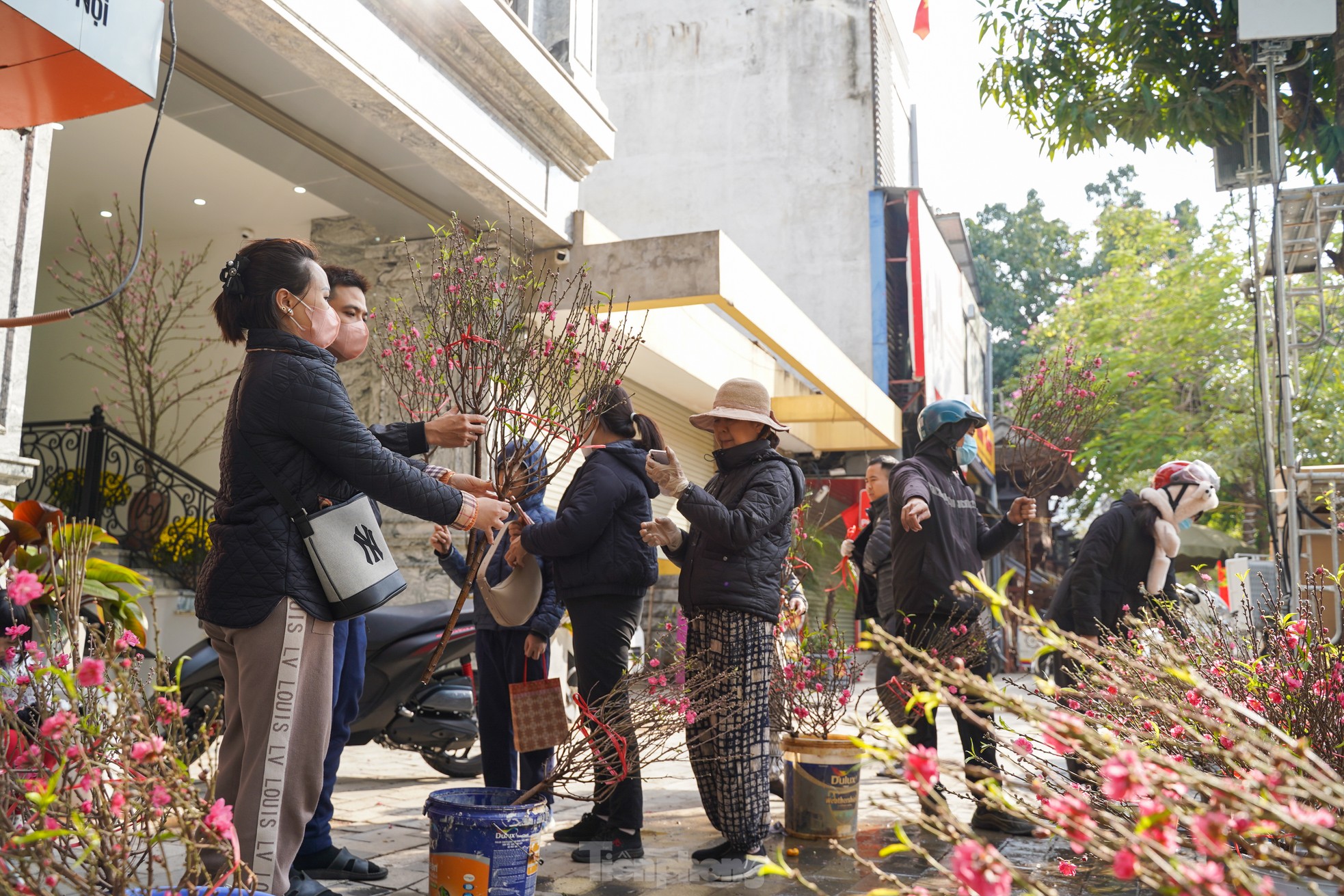 Hà Nội: Tiểu thương chặt bỏ đào ế trước khi rời chợ về quê ăn Tết ảnh 3