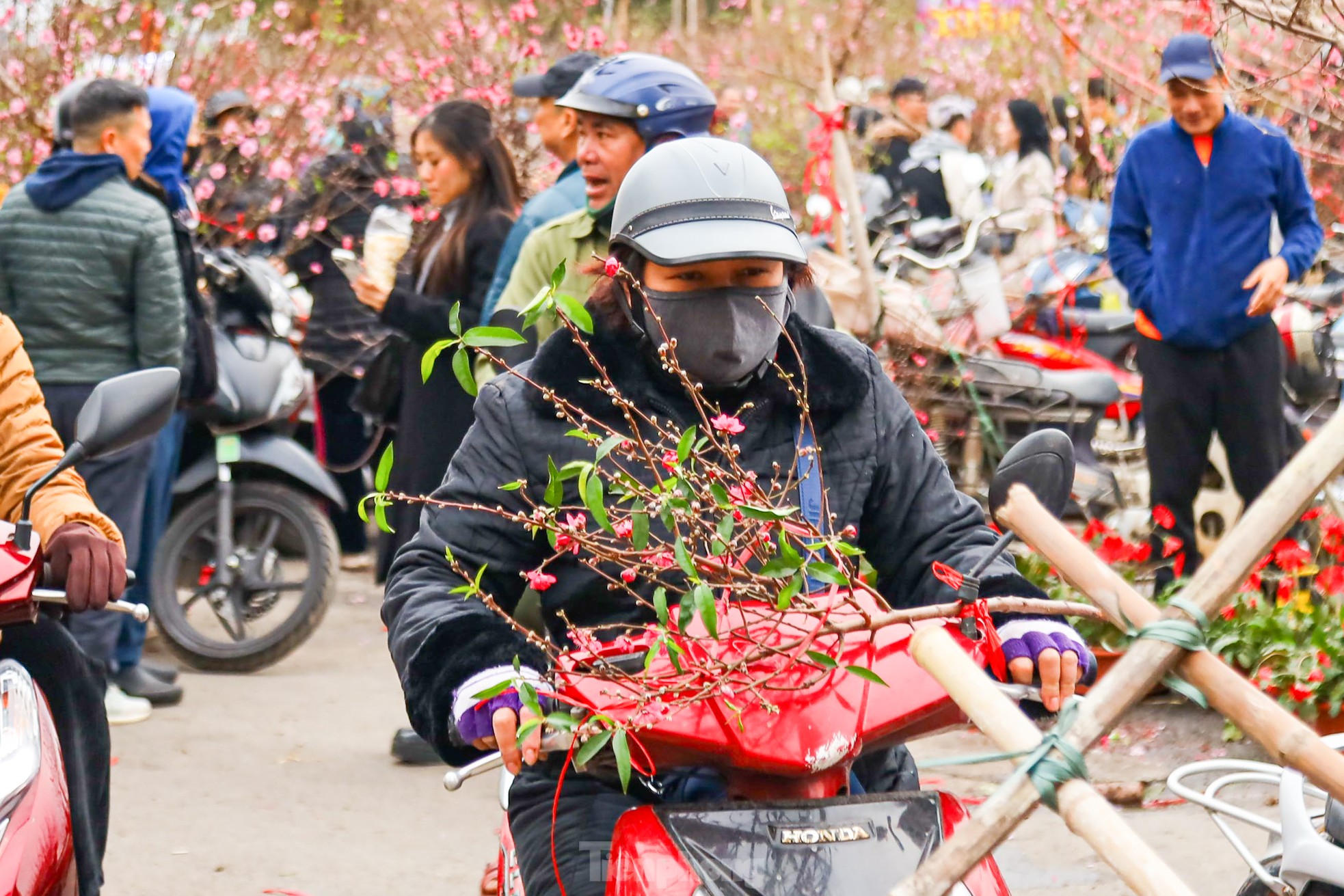 Hà Nội: Tiểu thương chặt bỏ đào ế trước khi rời chợ về quê ăn Tết ảnh 6