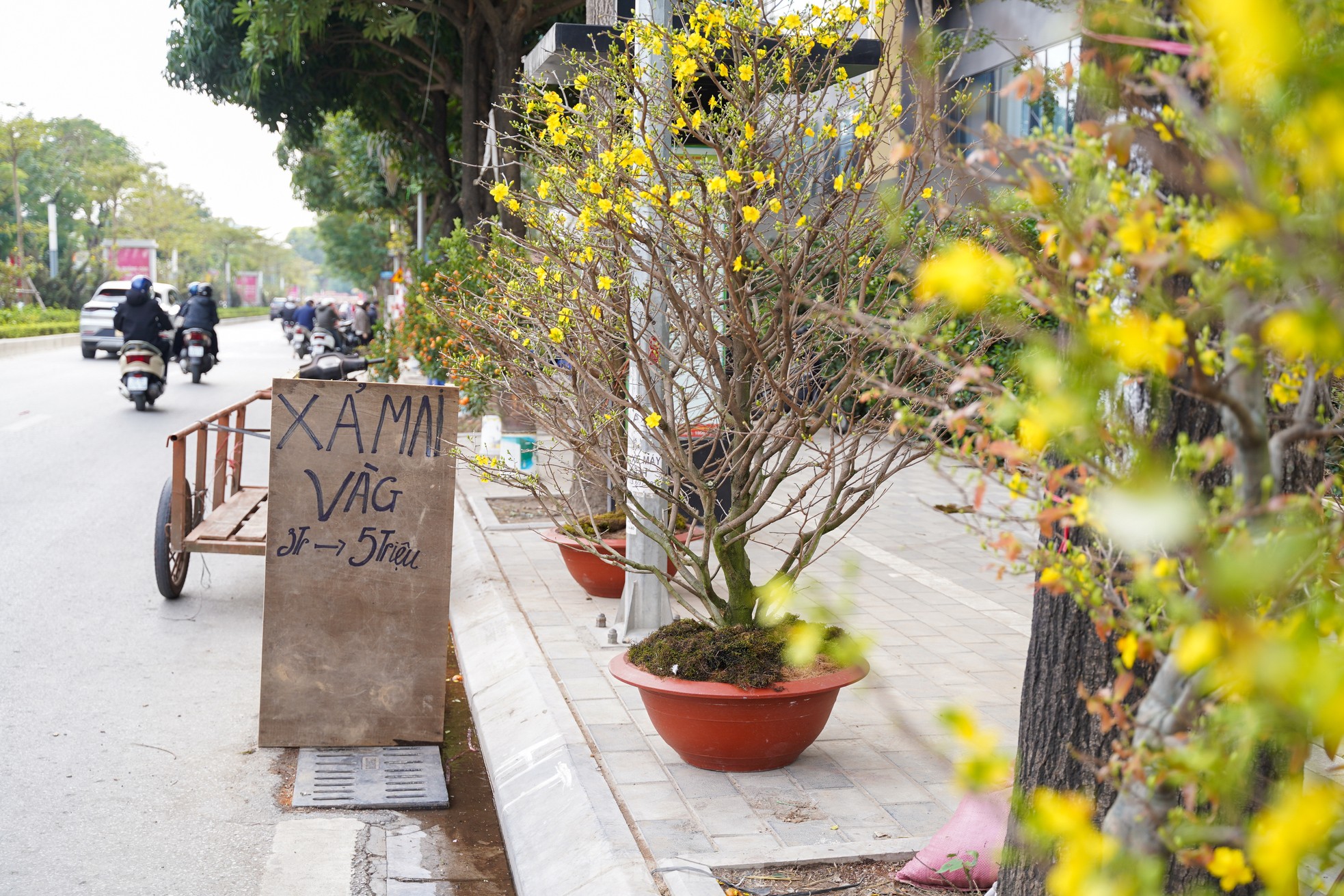 Hà Nội: Tiểu thương chặt bỏ đào ế trước khi rời chợ về quê ăn Tết ảnh 10