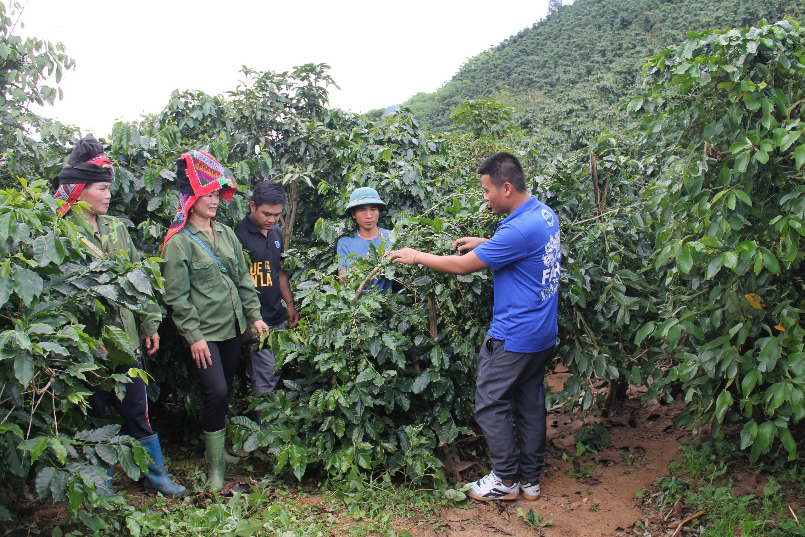 Chinh phục các quỹ đầu tư - câu chuyện từ Phúc Sinh: Bước tiến dài của nông nghiệp Việt Nam - Ảnh 2.