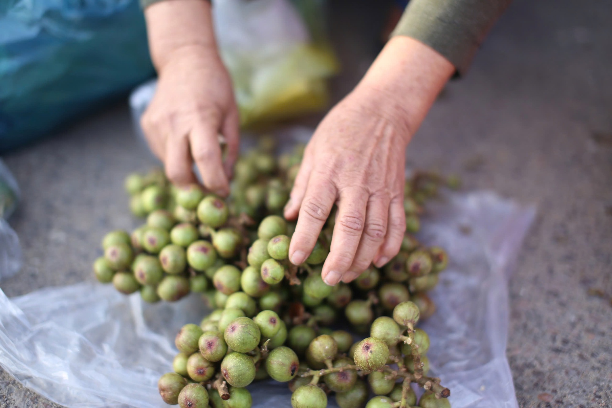 Phiên chợ 