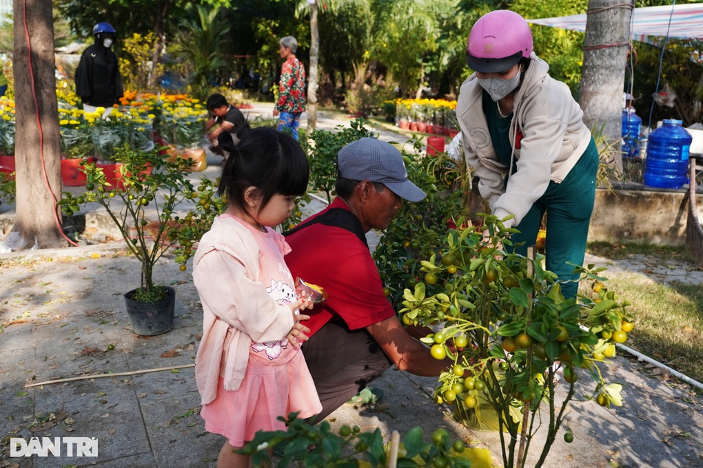 500 chậu quất Tết được giải cứu trong đêm và tình người ngày cuối năm - 2