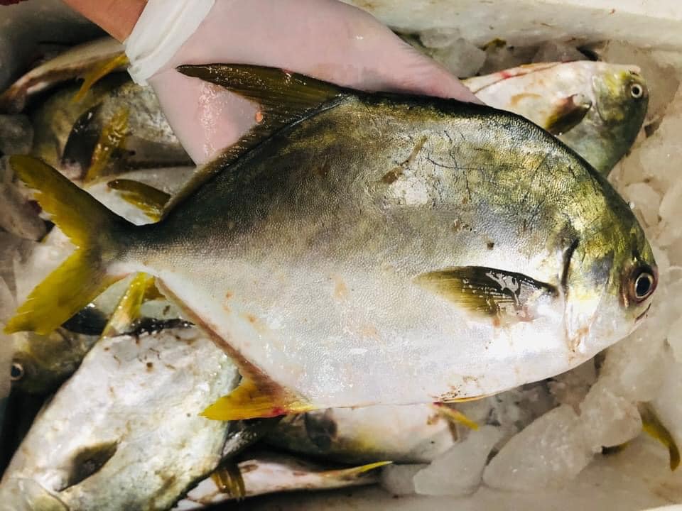 5 loại cá ngon, bổ, vừa túi tiền, dễ chế biến và mang ý nghĩa tốt lành bán đầy chợ - Ảnh 5.