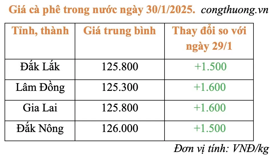 Giá cà phê hôm nay 29/1/2025: