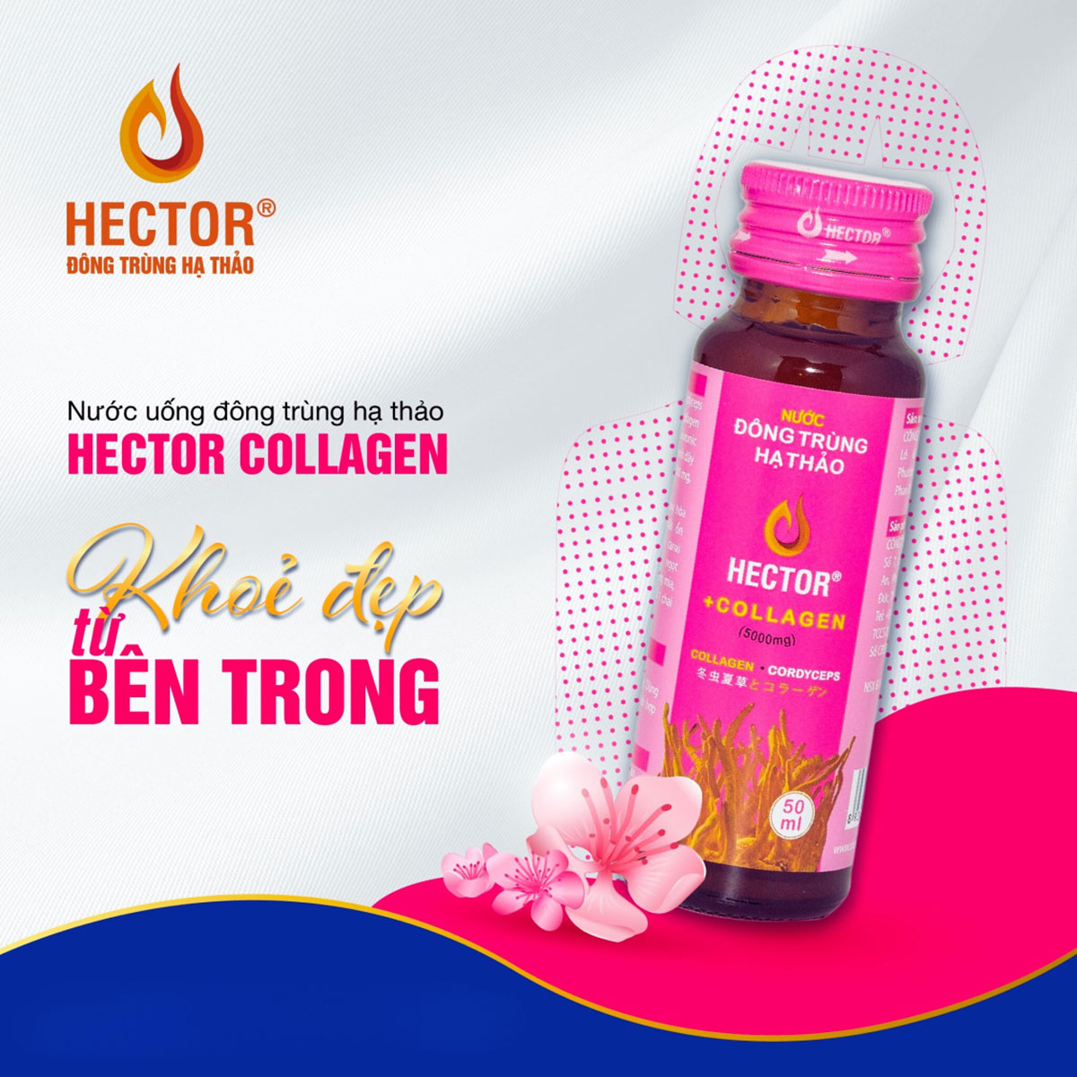 Uống collagen có thật sự mang lại hiệu quả 'cải lão hoàn đồng' cho làn da?- Ảnh 5.