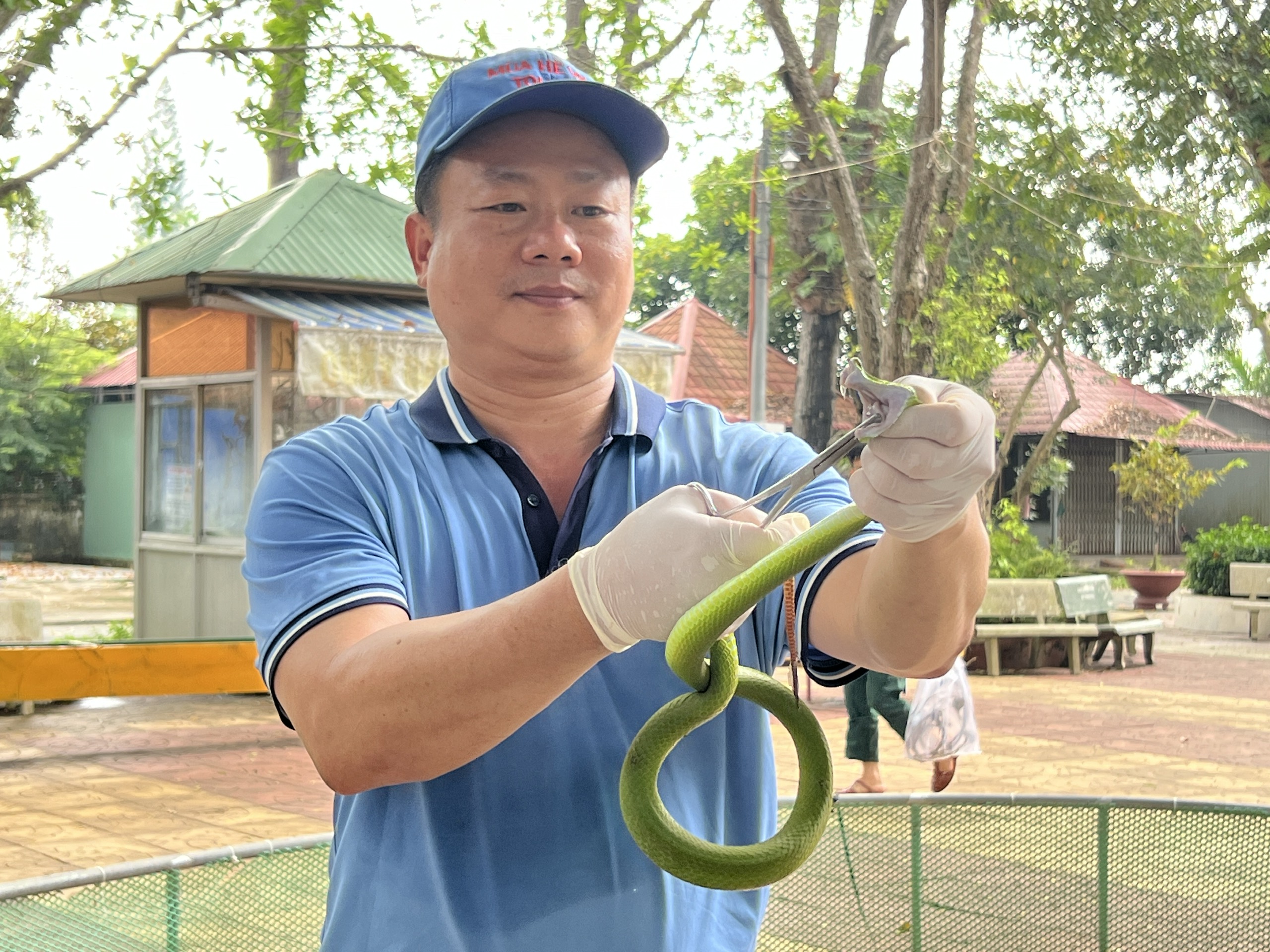 VIDEO: “Rùng mình” xem lấy nọc độc rắn- Ảnh 2.