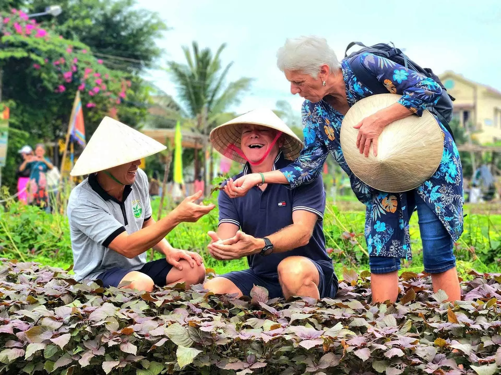 Trải nghiệm thi vị ở làng rau Trà Quế