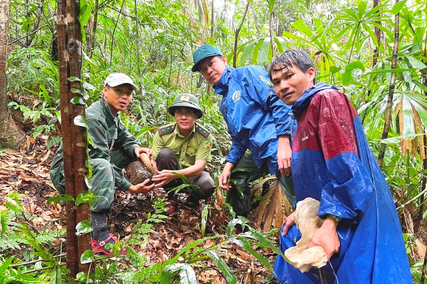 Công tác cứu hộ, bảo tồn và phát triển sinh vật luôn được chú trọng đẩy mạnh để bảo vệ và phát huy bền vững các giá trị di sản.