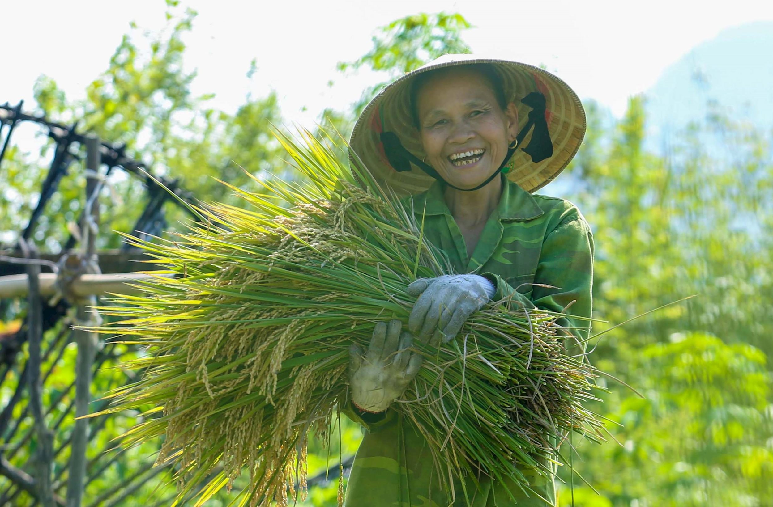 8. người dân ở Hoa Tiến, xã Châu Tiến (Quỳ Châu) tươi cười cho một mùa bội thu