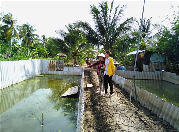 Con đặc sản tối ngày ngụp lặn dưới ao, nuôi thành công ở Hậu Giang, bán làm thịt tốt, bán con giống nhanh - Ảnh 1.