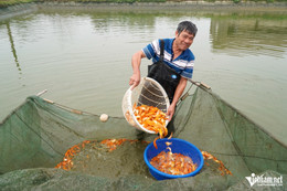 W-a1Red carp on Kitchen God's Day.JPG.jpg