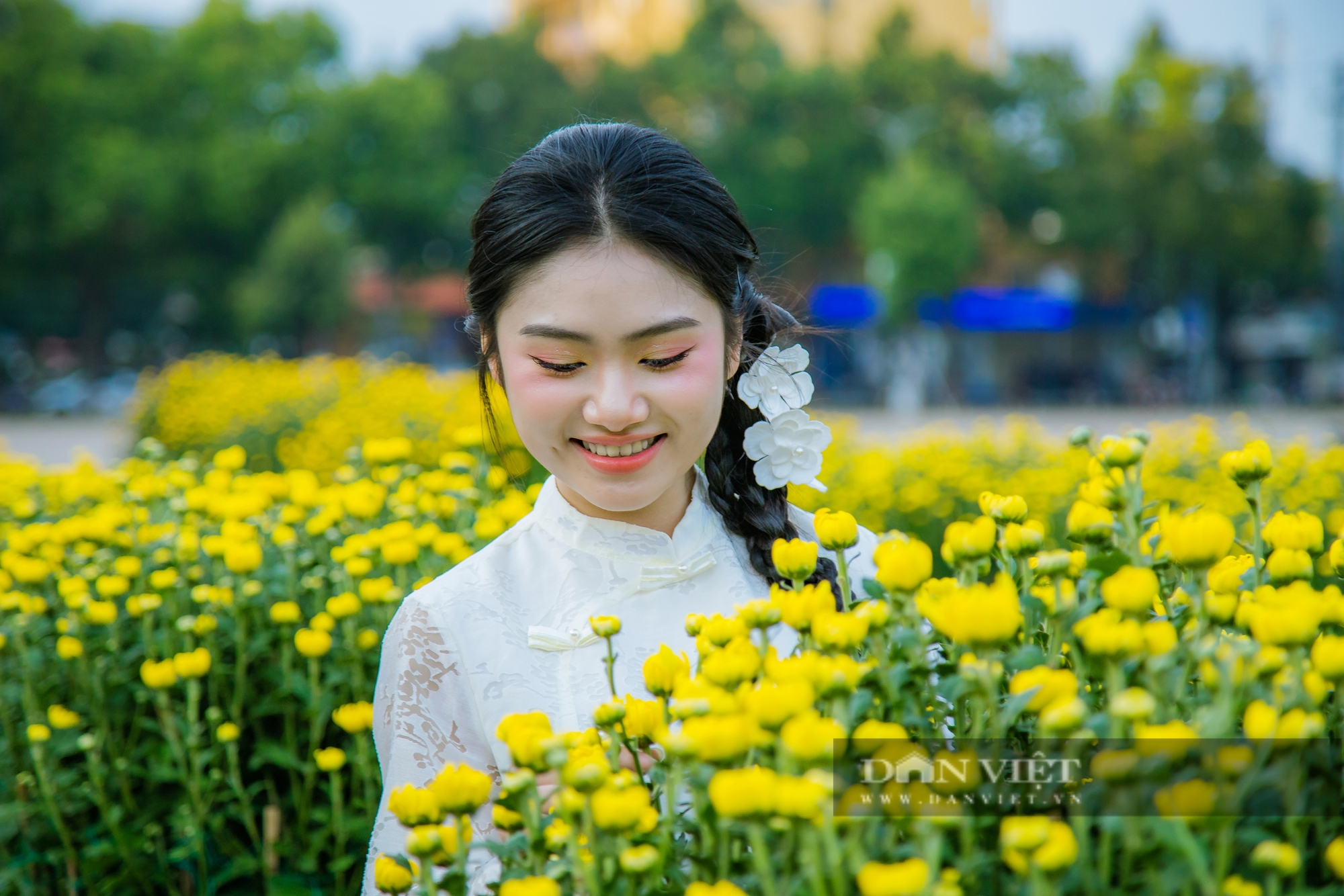 Chợ hoa Xuân Ất tỵ Buôn Ma Thuột đìu hiu, lan rừng bất ngờ