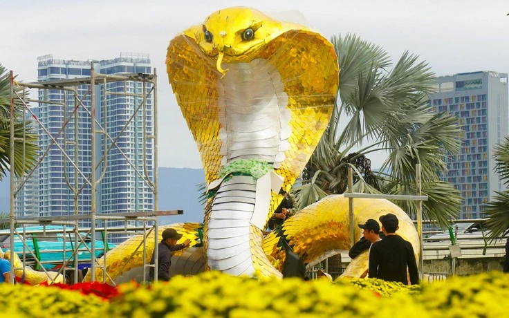 da nang dong duong bach dang noi dai phuc vu pho di bo dip tet hinh 1