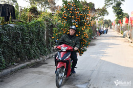 w ສວນ 8jpg 118495.jpg