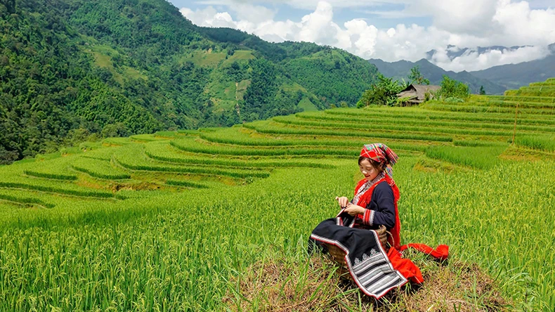 Hoàng Su Phì - miền ruộng bậc thang kỳ ảo ảnh 1