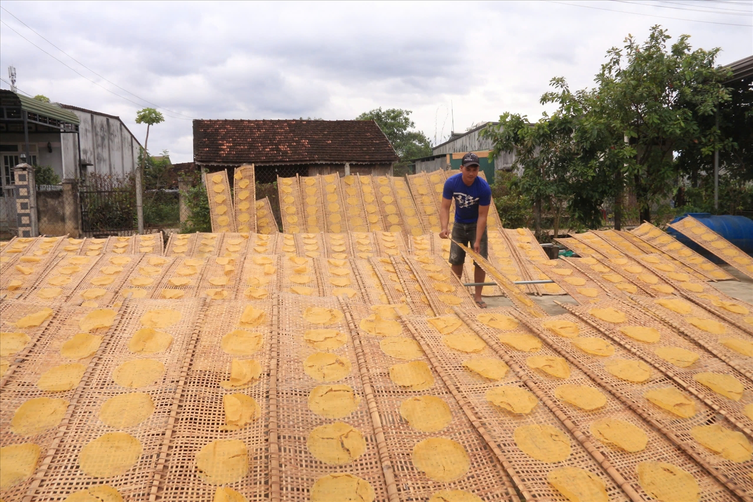 Ngoài việc chọn nguyên liệu, công đoạn phơi bánh quyết định chất lượng và mẫu mã của bánh