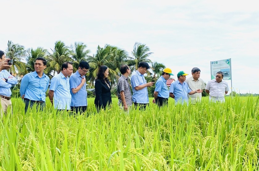 Lãnh đạo Bộ NN&PTNT và UBND tỉnh Đồng Tháp thăm một mô hình thí điểm của đề án.