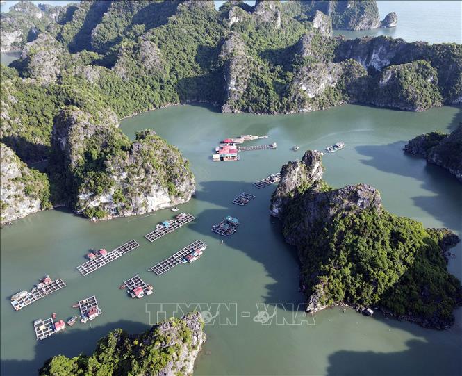 Một làng chài ở Vịnh Hạ Long của Quảng Ninh, toàn núi đá, la liệt cá ngon, con động vật đẻ ra ngọc- Ảnh 1.