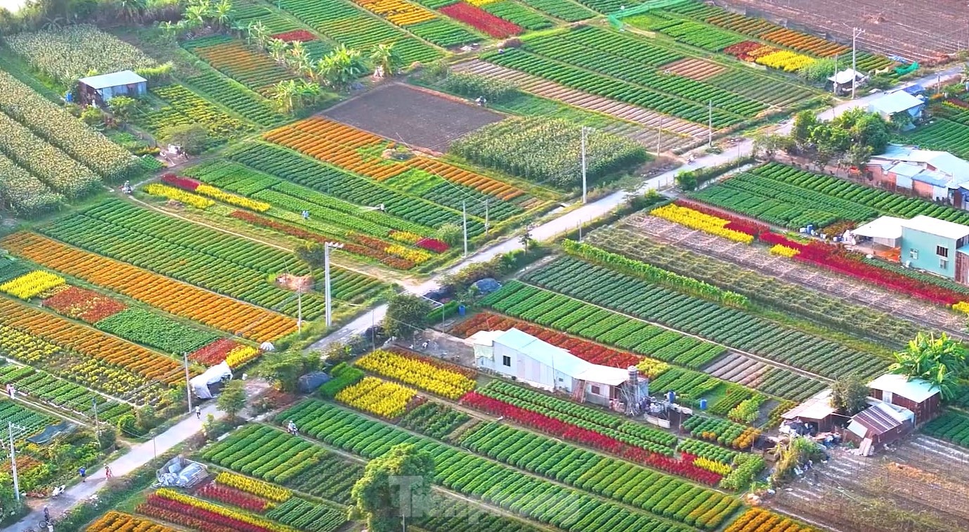 Ngắm 'thủ phủ hoa Tết' ở Bình Dương từ trên cao ảnh 1