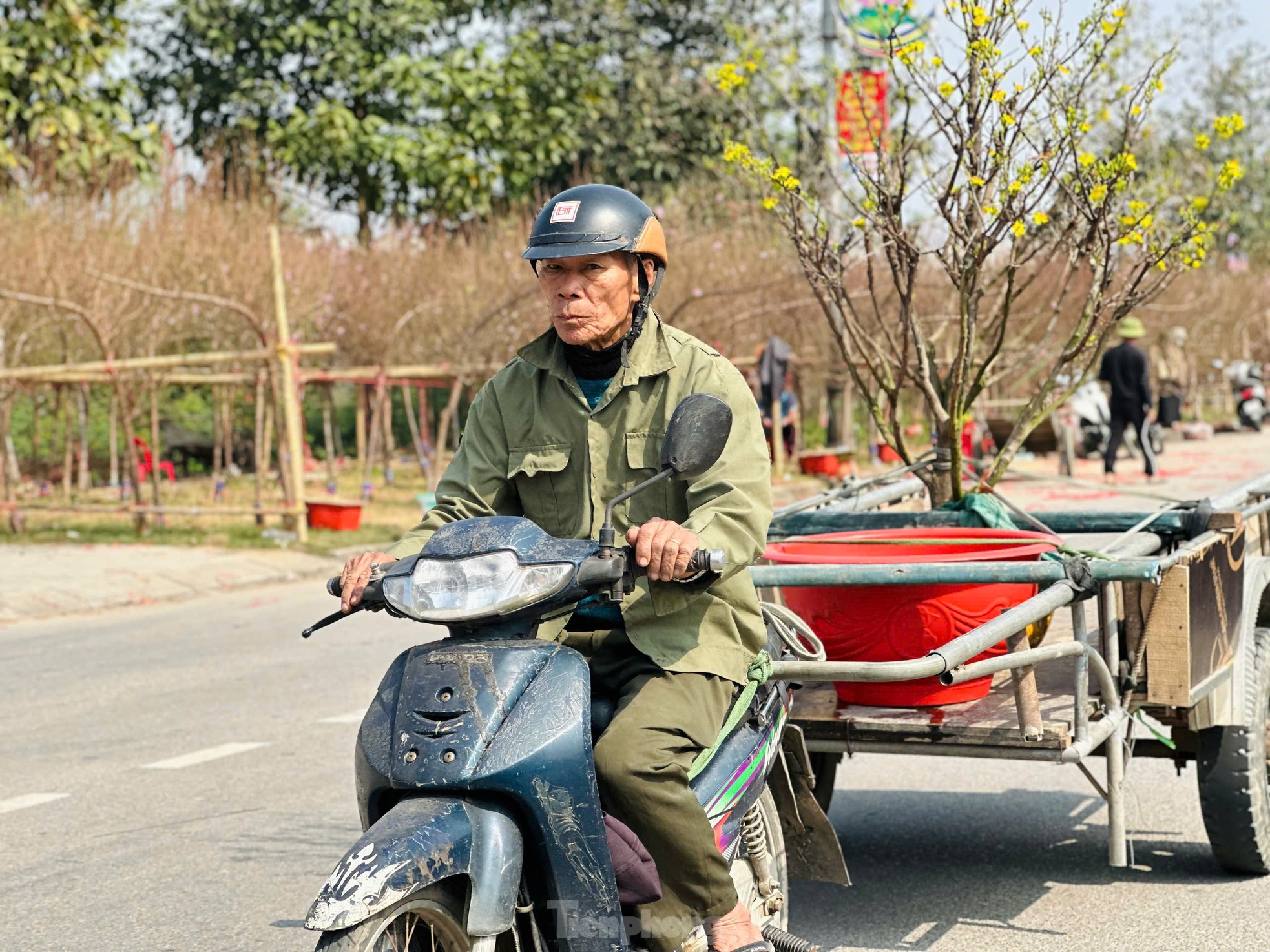 Nghề 'chở Tết' đến mọi nhà kiếm tiền triệu mỗi ngày ảnh 1