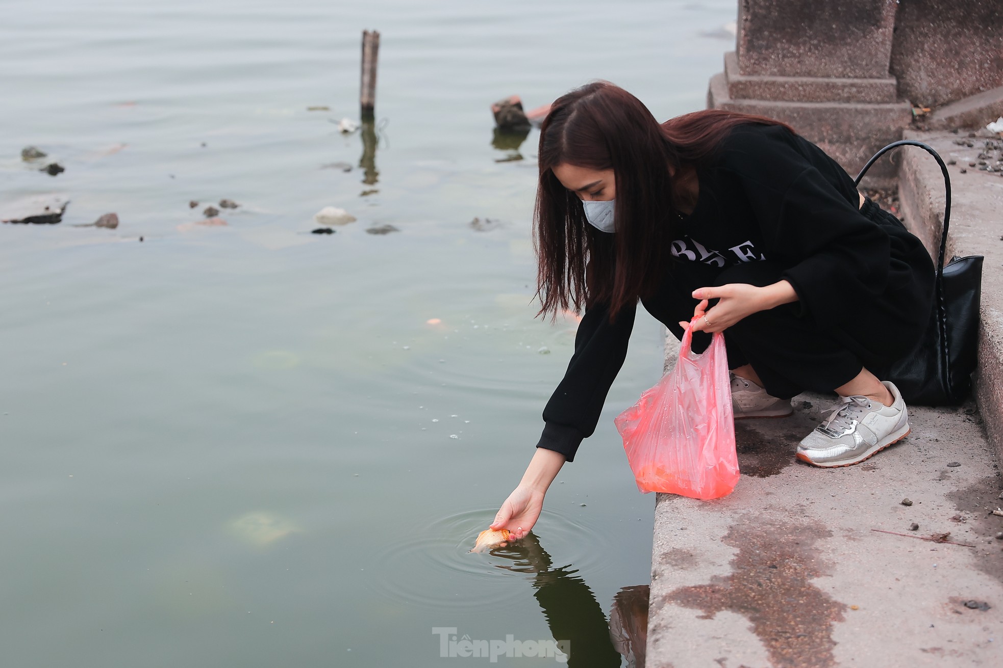 Người Hà Nội thả cá tiễn ông Công ông Táo về trời theo cách văn minh ảnh 1