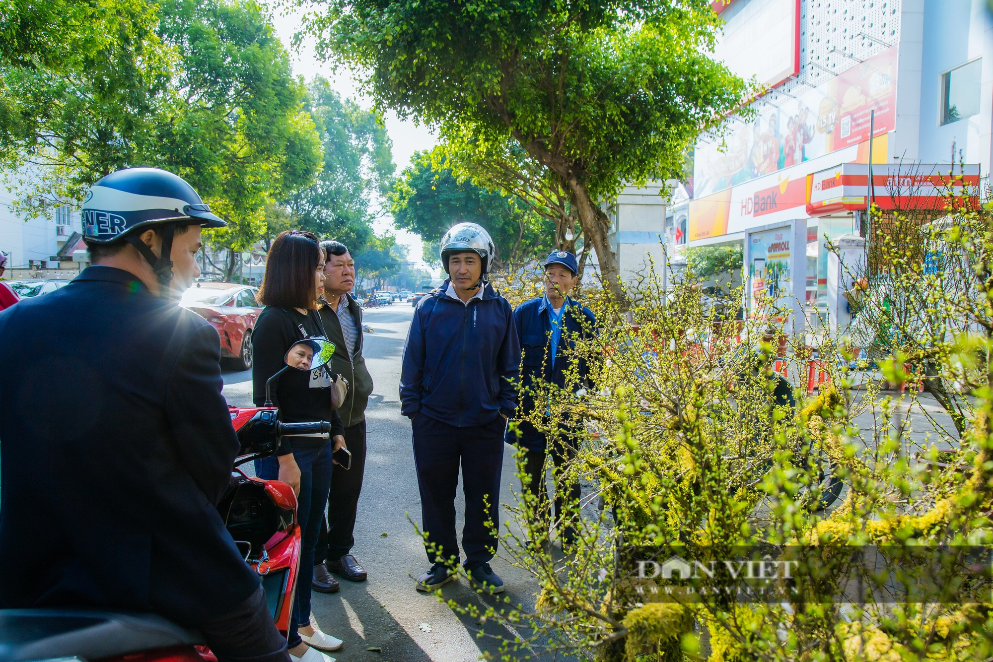 “Đi bộ” hơn 1.600km, loài hoa Tết của Lào Cai “cháy hàng” tại Đắk Lắk - Ảnh 1.