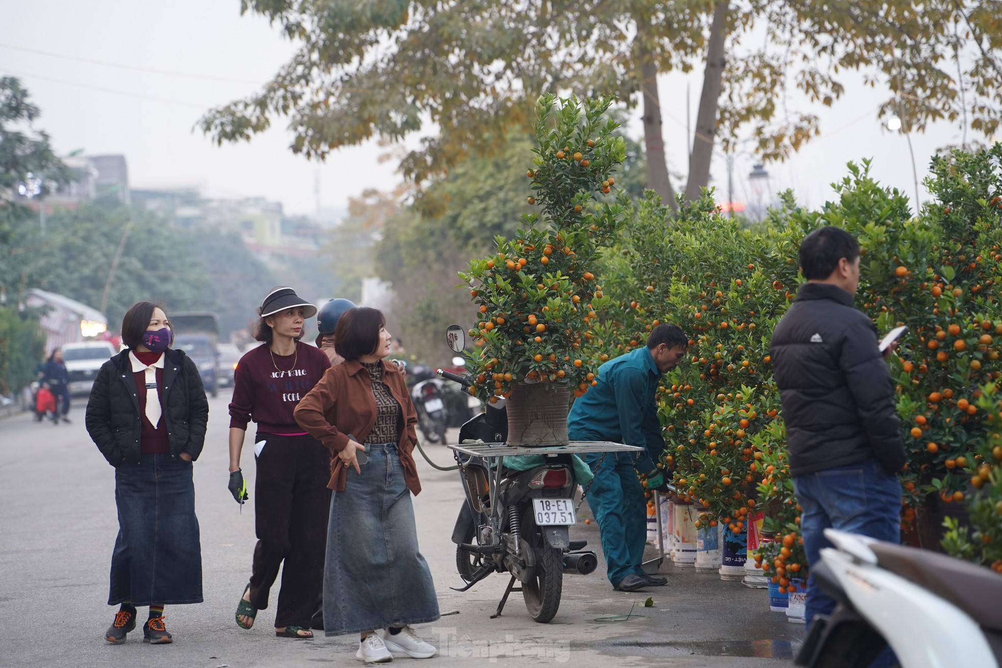 Nhộn nhịp chợ hoa Tết ở thành phố vùng biên ảnh 1