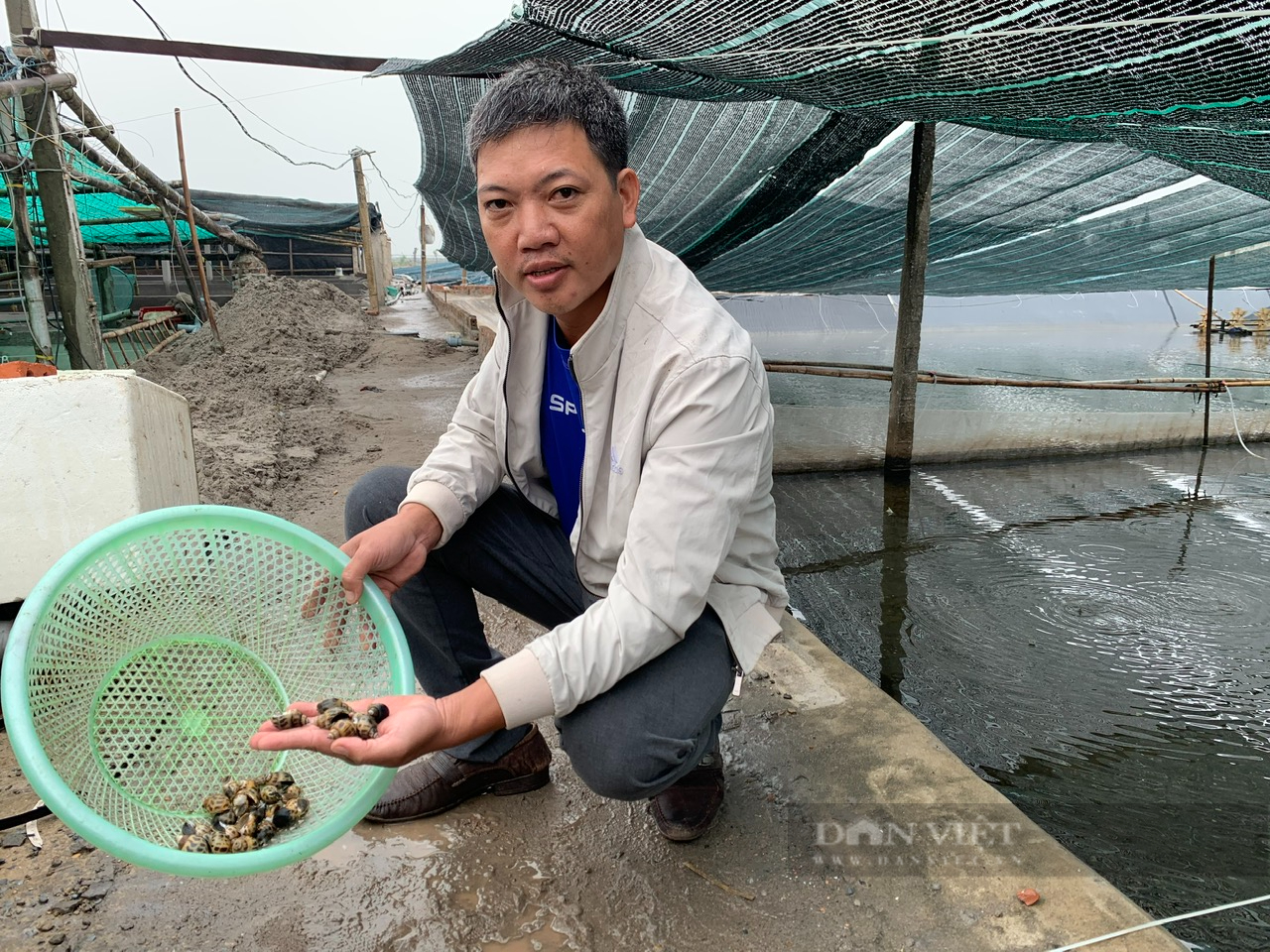 Nuôi ốc hương và la liệt các loại cá đặc sản, một HTX của ông nông dân Nam Định có doanh thu 14 tỷ/năm - Ảnh 1.