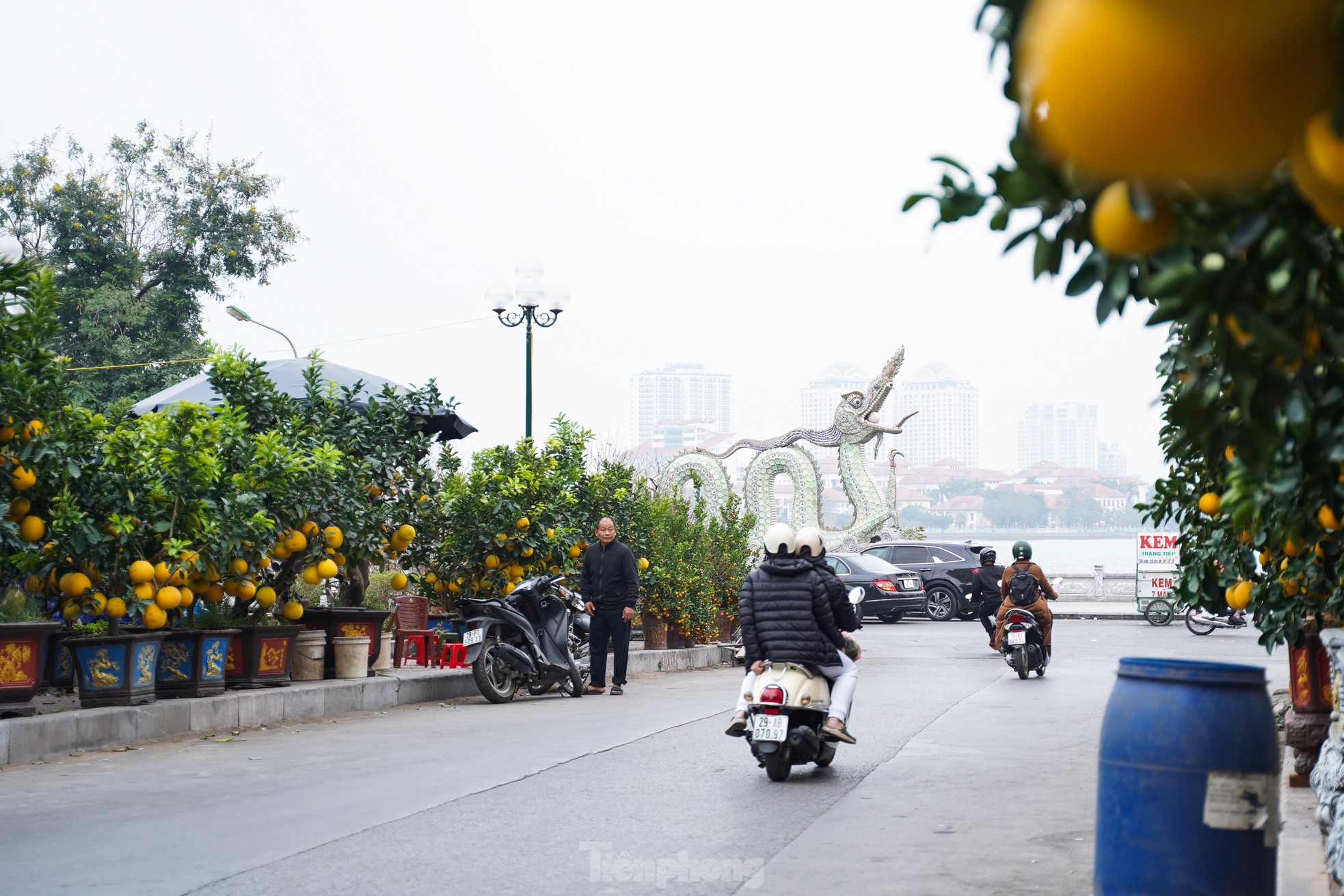 Quất đào giá trăm triệu hút 'giới nhà giàu' ảnh 1