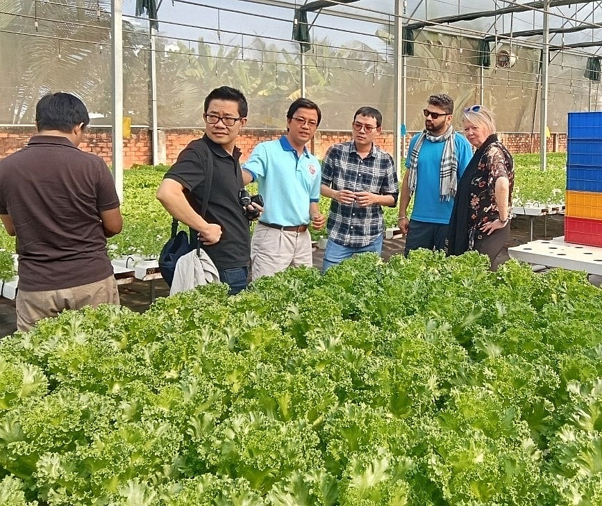 TP. Hồ Chí Minh có 216 hộ nông dân có mức thu nhập trên 1 tỷ đồng/năm