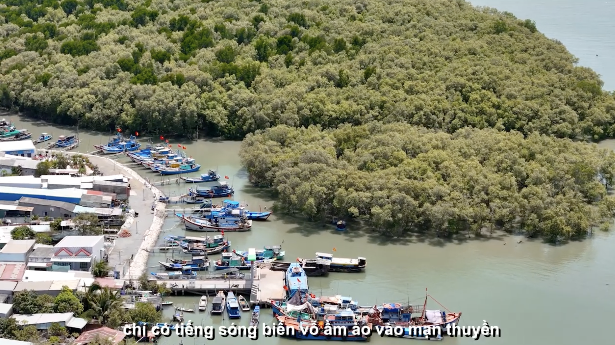 TP.HCM dạy tiếng Anh bằng lớp học số cho nhiều tỉnh thành- Ảnh 2.