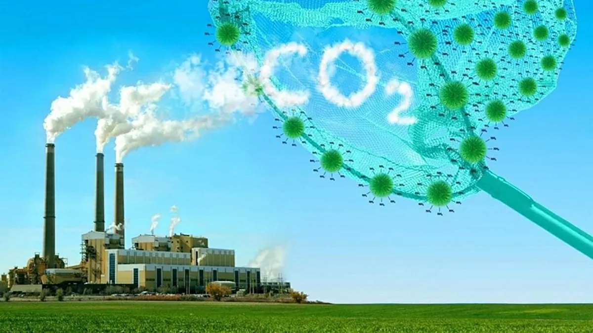 Thí điểm thành lập và phát triển thị trường carbon tại Việt Nam từ năm 2025. (Nguồn: baochinhphu)