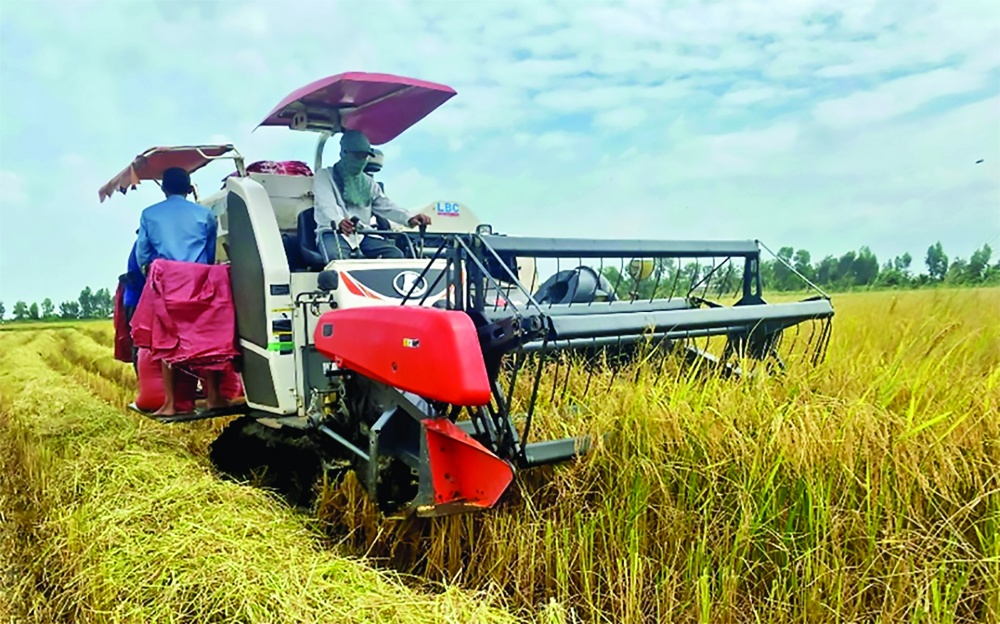 Hàng chục mô hình thuộc Đề án 1 triệu hecta lúa chất lượng cao phát thải thấp ở ĐBSCL đã tiếp cận được nguồn vốn tín dụng ưu đãi lãi suất