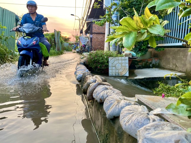 Triều cường khả năng gây ngập nhiều khu vực ở TPHCM trong ngày mùng 2 Tết ảnh 1