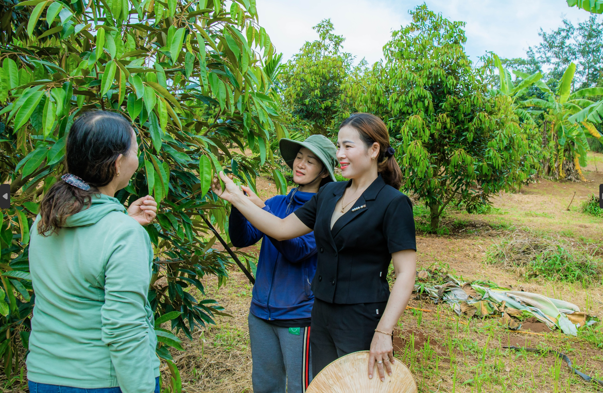 Hội đồng hành hội viên, kinh tế tập thể “nở rộ” - Ảnh 3.