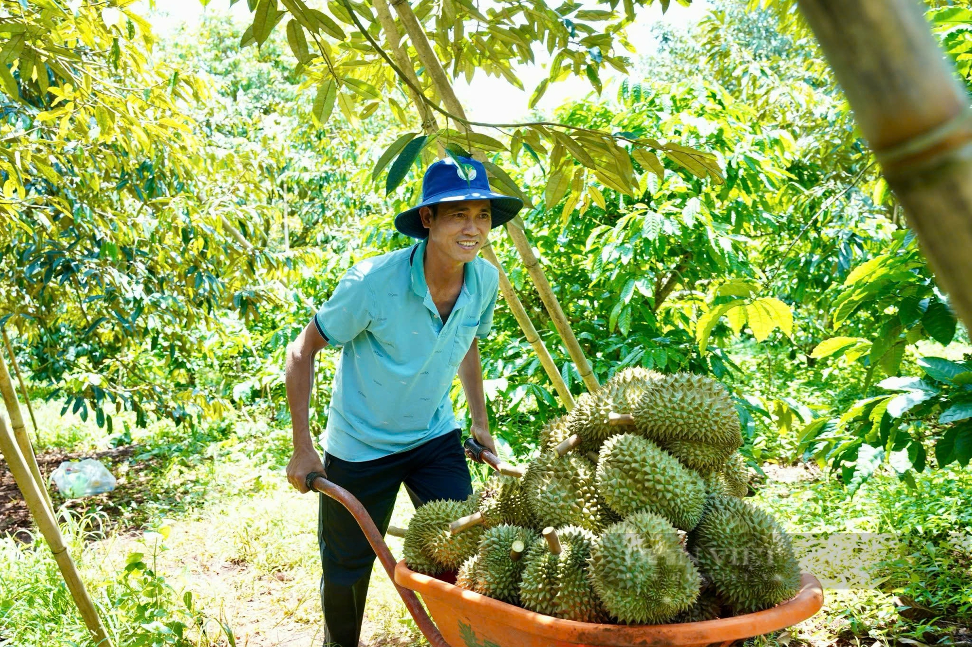 Trung Quốc là thị trường lớn nhất của 