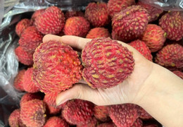 chybějící rameno 118000.jpg