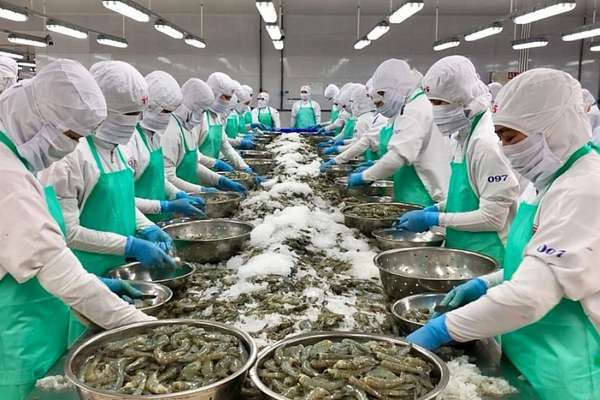 Seafood exports could reach 11 billion USD by 2025 - Photo 1.