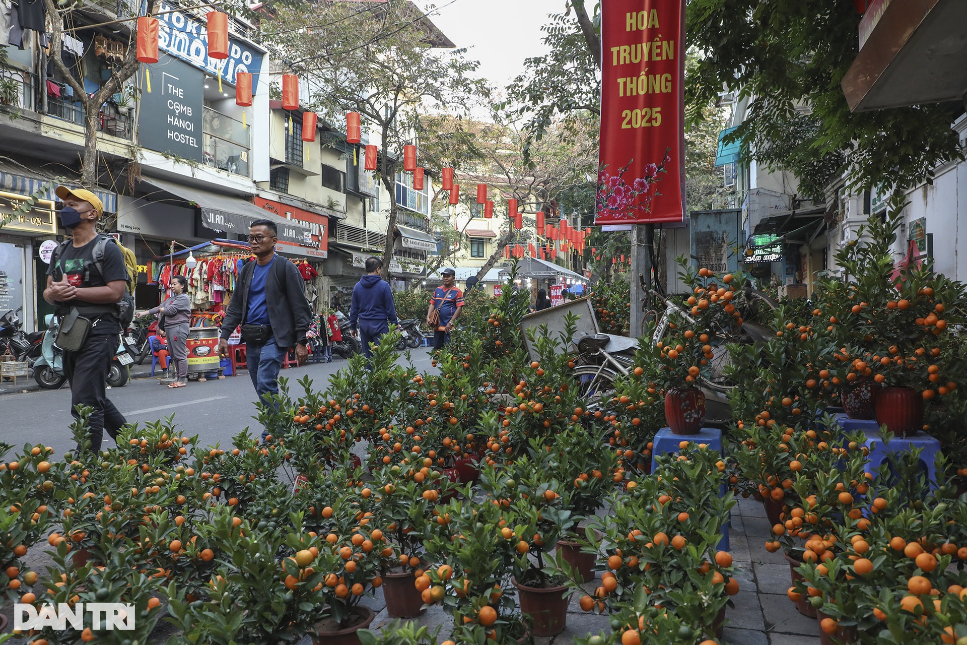 Chợ hoa Hàng Lược mở bắt đầu đông khách đi sắm Tết Ất Tỵ - 2