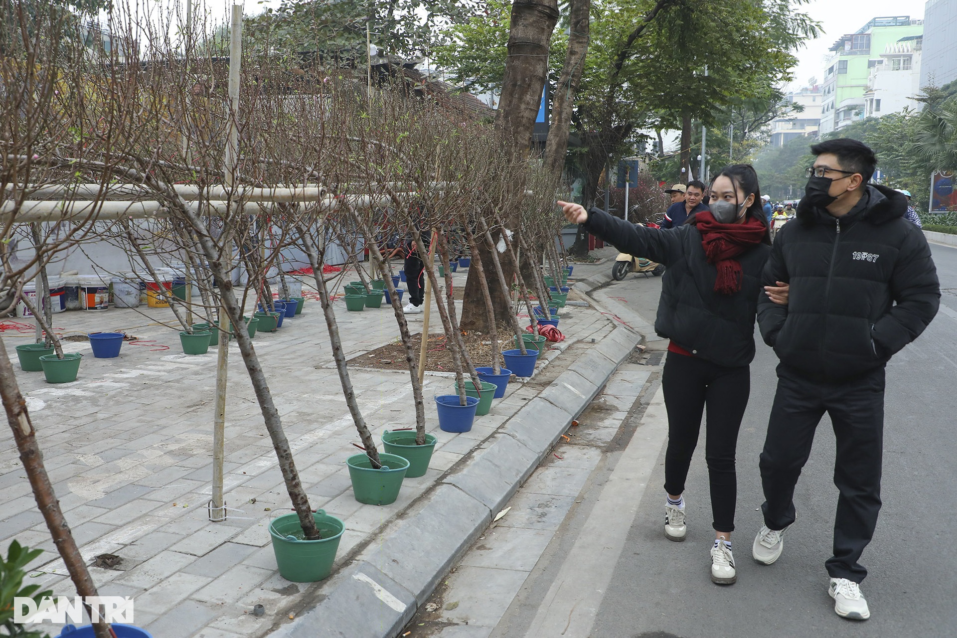 Nhộn nhịp chợ hoa Tết đường Lạc Long Quân - 1