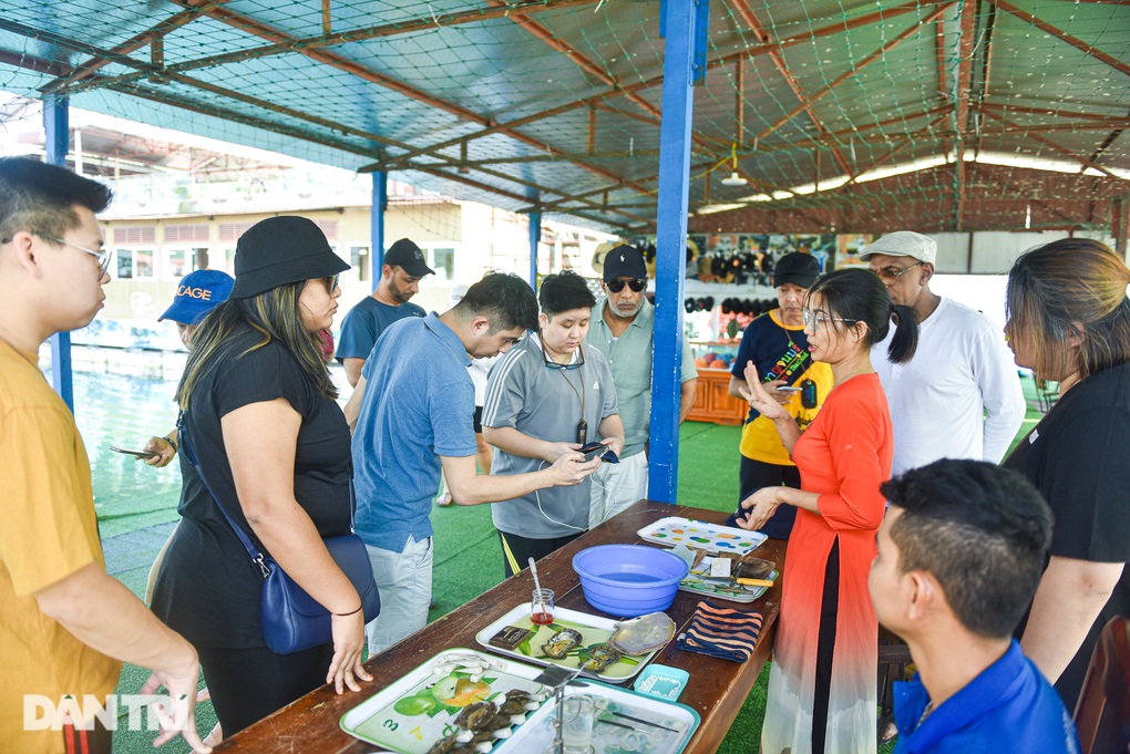 Trải nghiệm ngủ đêm, đón bình minh trên du thuyền ở vịnh Hạ Long - 6