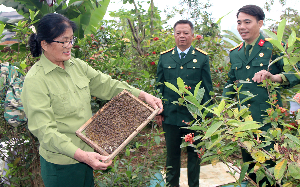 “Mật ong OCOP” của cựu chiến binh Minh Quán