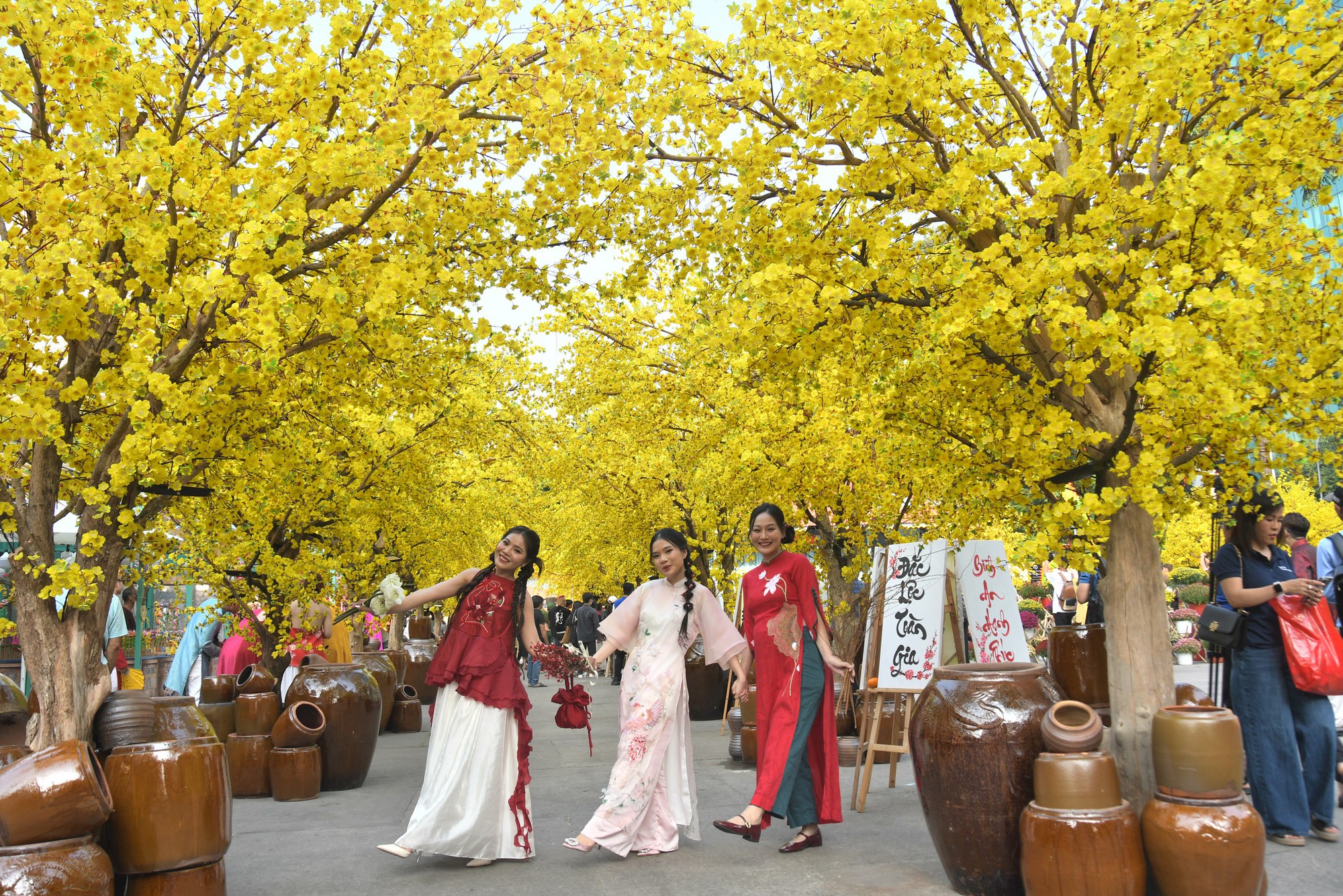 Đường mai vô cực đẹp mê ly vừa mở cửa- Ảnh 1. Đường mai vô cực đẹp mê ly vừa mở cửa- Ảnh 1.