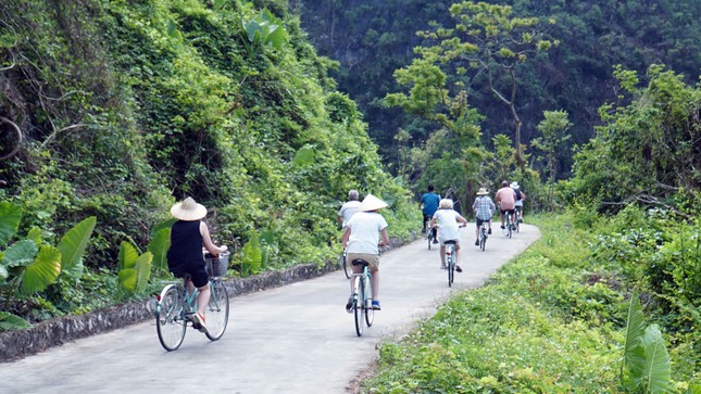 Lập Ban Chỉ đạo Quản lý di sản Hạ Long - Cát Bà ảnh 1